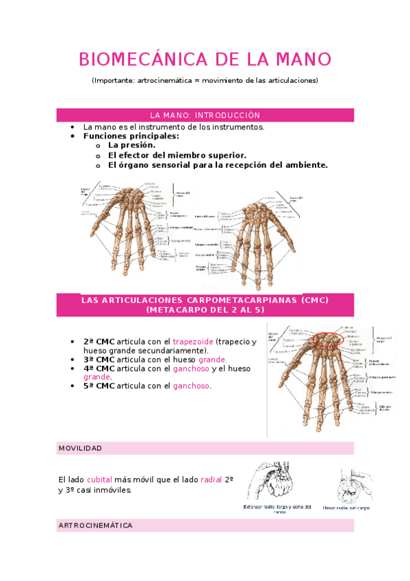 Miniatura del documento Biomecanica-mano-celia.docx