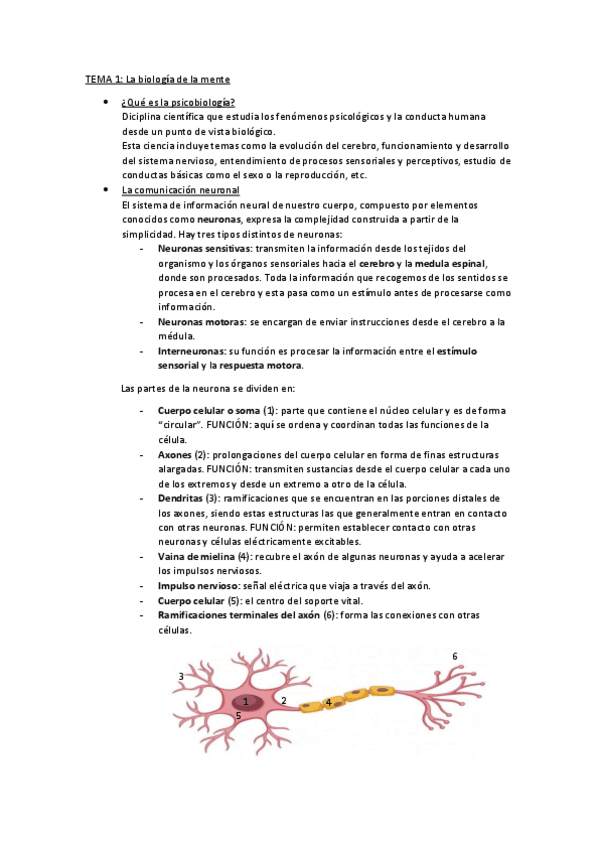 Miniatura del documento Tema-1-Bilogia-de-la-Mente.pdf