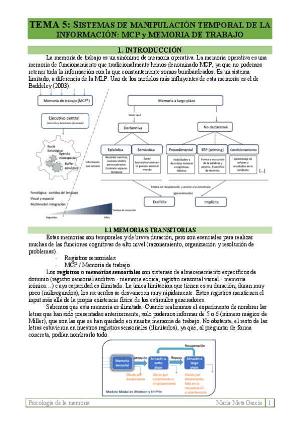 Miniatura del documento TEMA 5. Sistemas manipulación de info