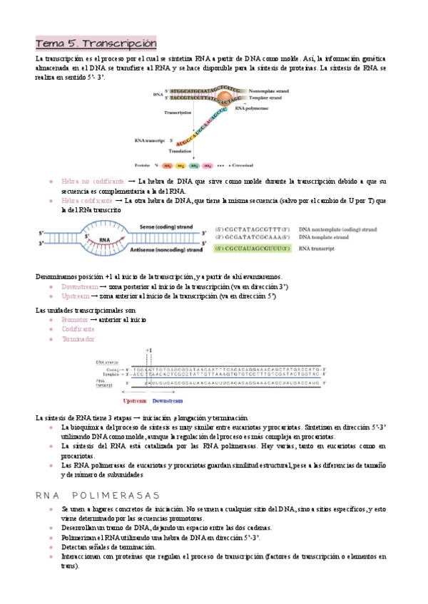 Miniatura del documento Tema-5.pdf