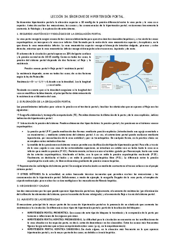 Miniatura del documento LECCION-34.pdf