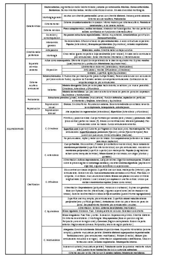 Miniatura del documento SEGUNDO-CUATRI.pdf