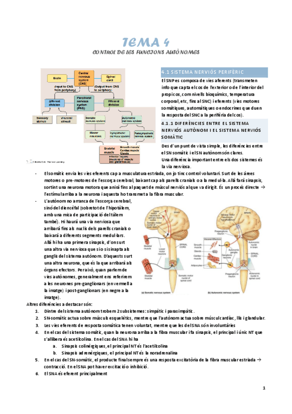 Miniatura del documento tema-4-control-de-les-funcions-autonomes.pdf