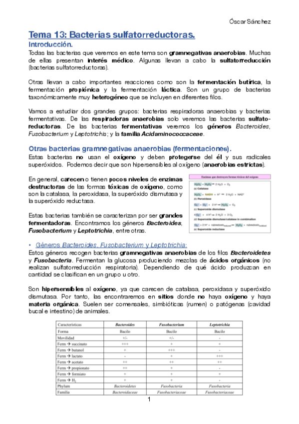 Miniatura del documento Tema-13-Micro-II.pdf
