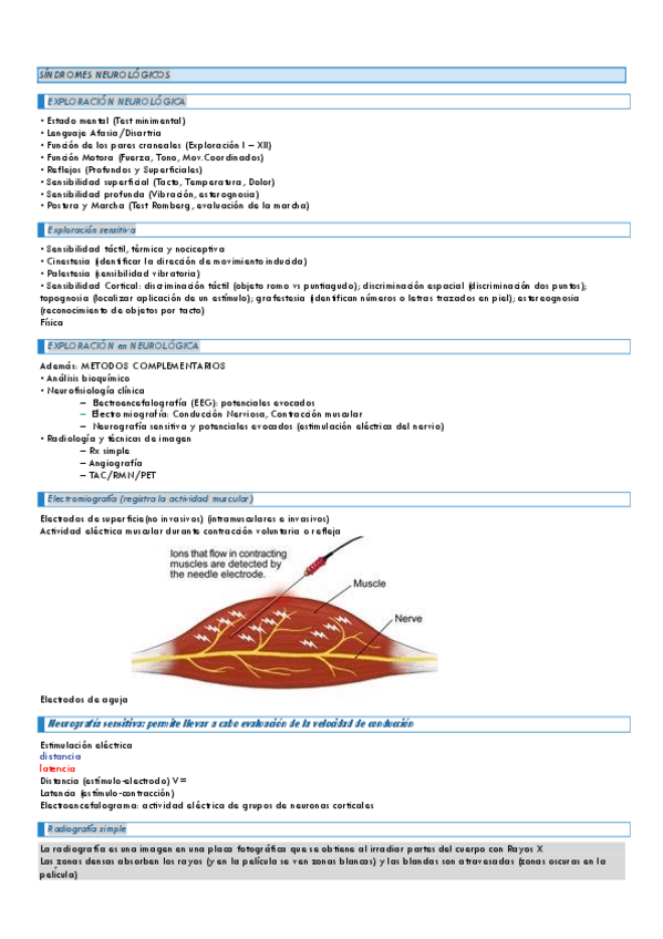 Miniatura del documento Fisiopatologia.pdf