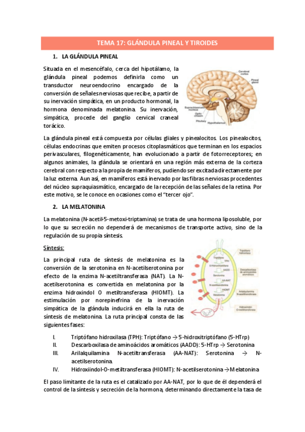 Miniatura del documento TEMA-17.pdf