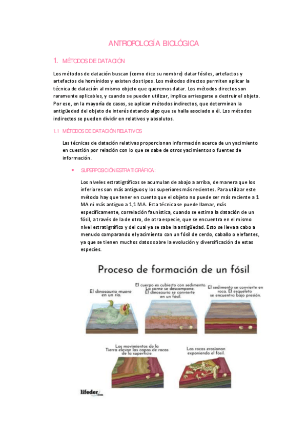 Miniatura del documento METODOS-DE-DATACION.pdf