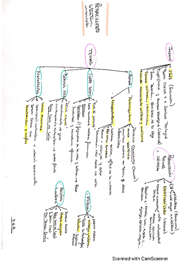 Miniatura del documento LITERATURA-RENACENTISTA.pdf