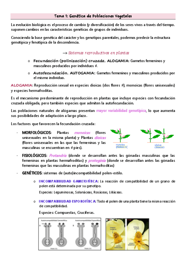 Miniatura del documento Tema-1.pdf