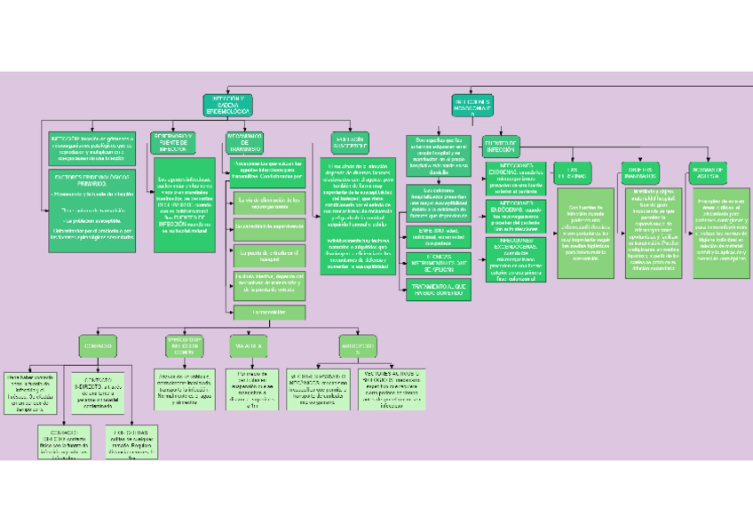 Miniatura del documento PROTOCOLO-DE-APLICACION-PARA-LA-PREVENCION-Y-PROTECCION-DE-ENFERMEDADES-INFECCIOSAS-2.pdf