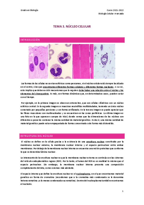 Miniatura del documento TEMA-3.pdf