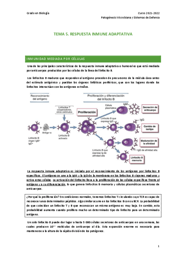 Miniatura del documento TEMA-5.pdf