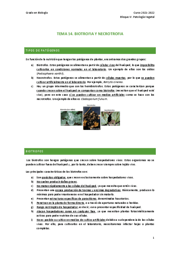 Miniatura del documento TEMA-14.pdf