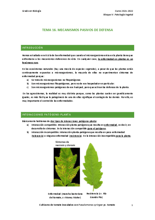 Miniatura del documento TEMA-16.pdf