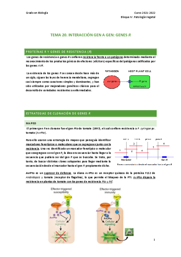 Miniatura del documento TEMA-20.pdf