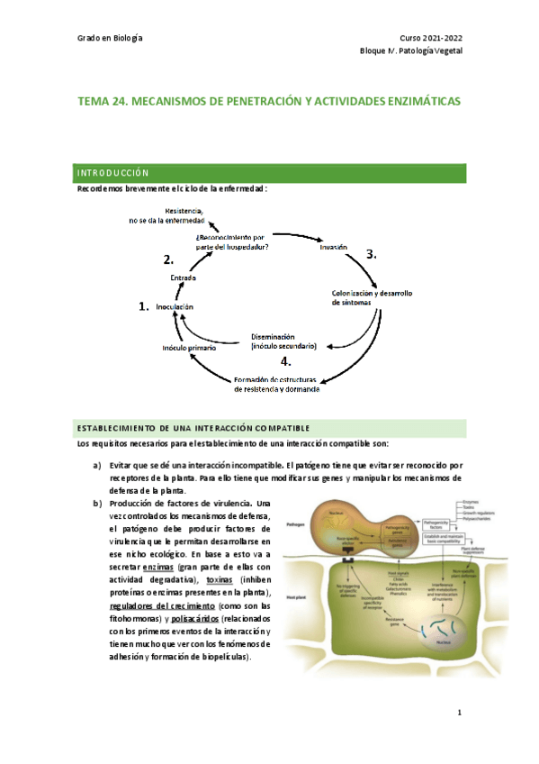 Miniatura del documento TEMA-24.pdf