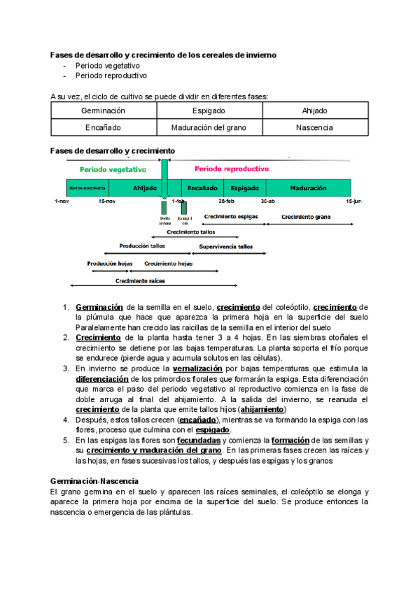 Miniatura del documento T2.pdf