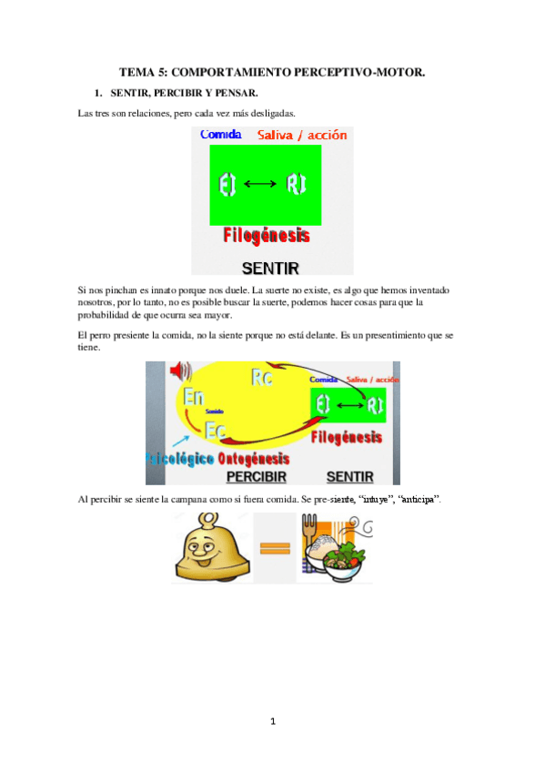 Miniatura del documento TEMA-5-COMPORTAMIENTO-PERCEPTIVO-MOTOR.pdf