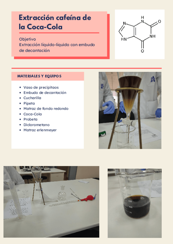 Miniatura del documento Protocolo-Extraccion-Coca-cola.pdf