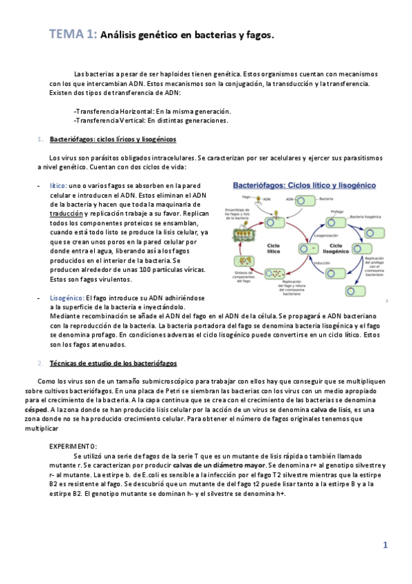 Miniatura del documento tema-1-genetica.pdf