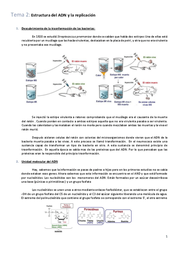 Miniatura del documento Tema-2-genetica.pdf