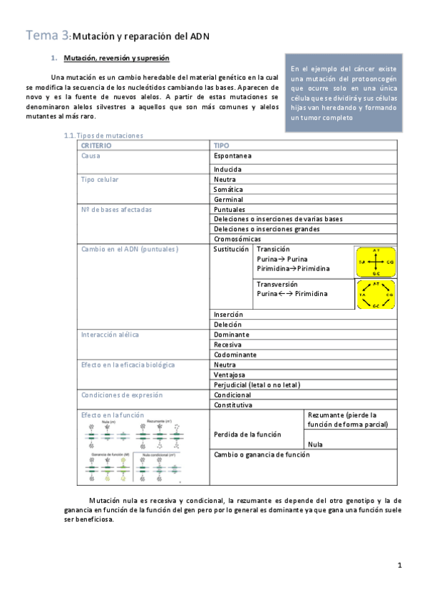 Miniatura del documento Tema-3-genetica.pdf