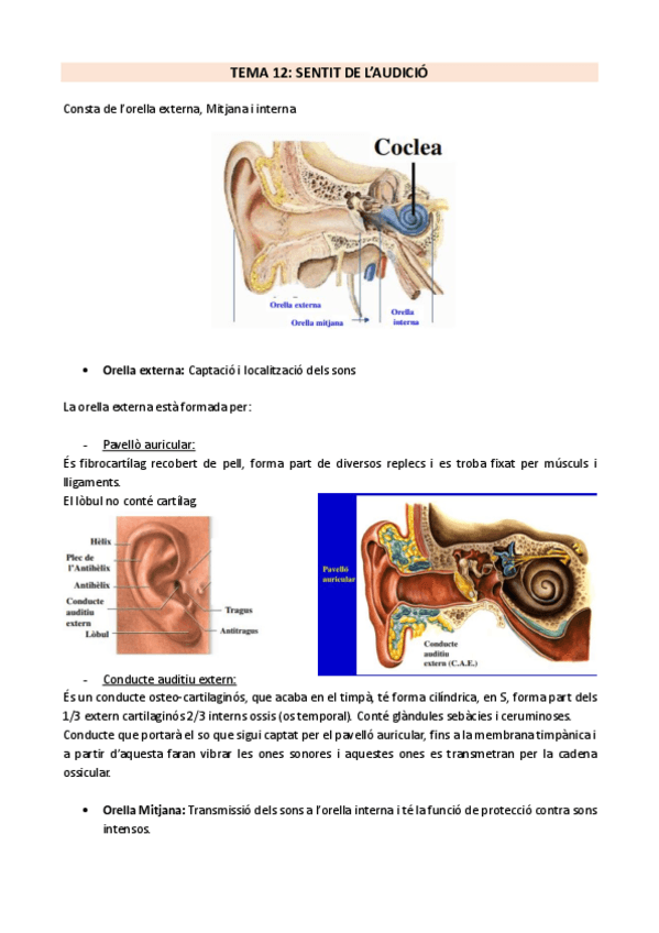 Miniatura del documento Apunts-tema-12.pdf