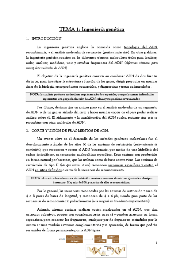 Miniatura del documento TEMA-1.pdf