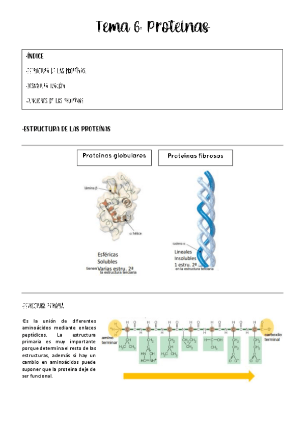 Miniatura del documento tema-6-bioquimica.pdf