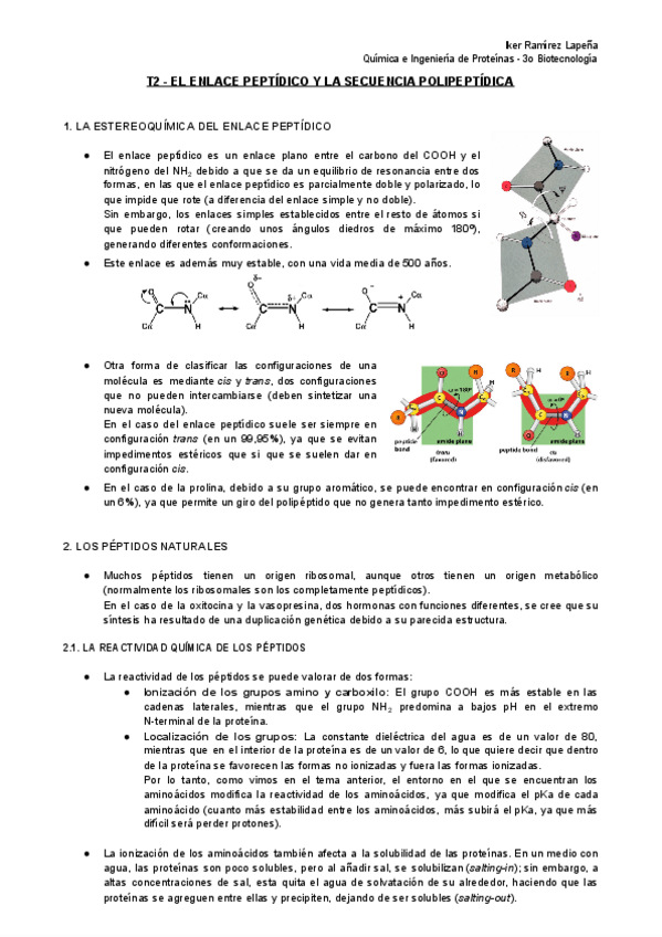 Miniatura del documento T2-QiEP-El-Enlace-Peptidico-y-la-Secuencia-Polipeptidica.pdf