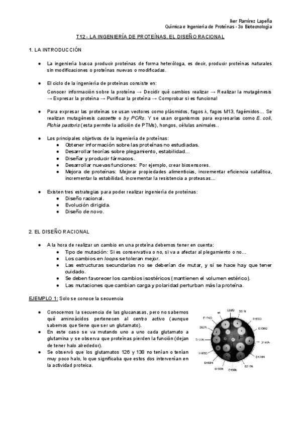 Miniatura del documento T12-QiEP-La-Ingenieria-de-Proteinas.pdf