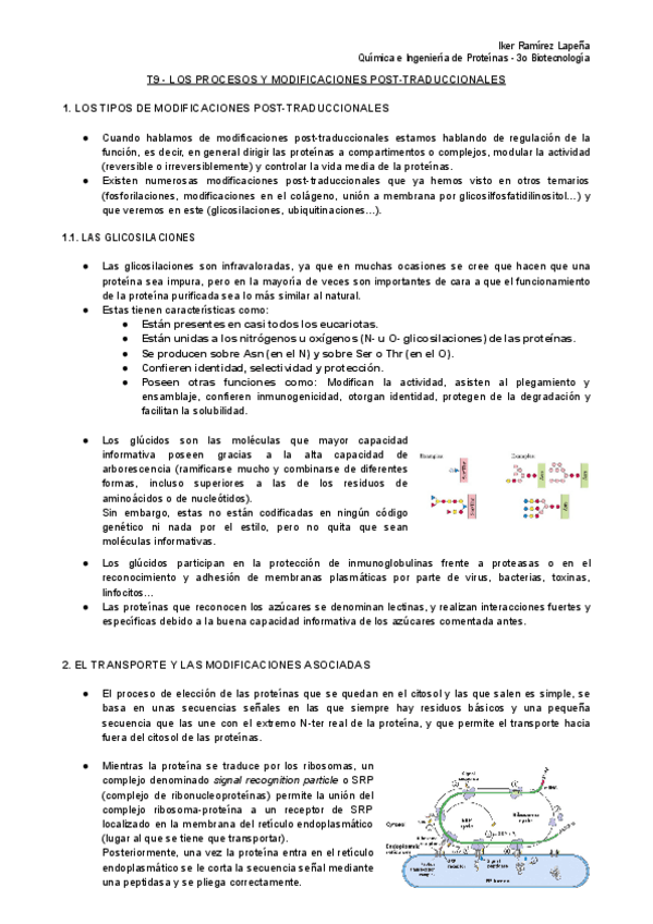 Miniatura del documento T9-QiEP-Los-Procesos-y-Modificaciones-Post-Traduccionales.pdf