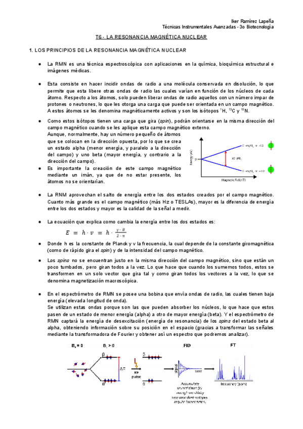 Miniatura del documento T6-TIA-La-Resonancia-Magnetica-Nuclear.pdf