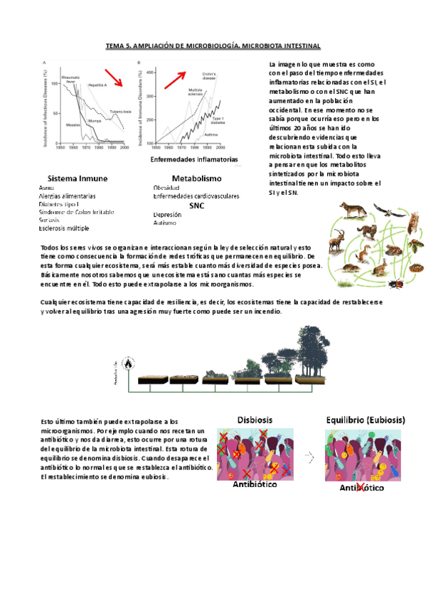 Miniatura del documento Tema-5-Ampli-micro.pdf