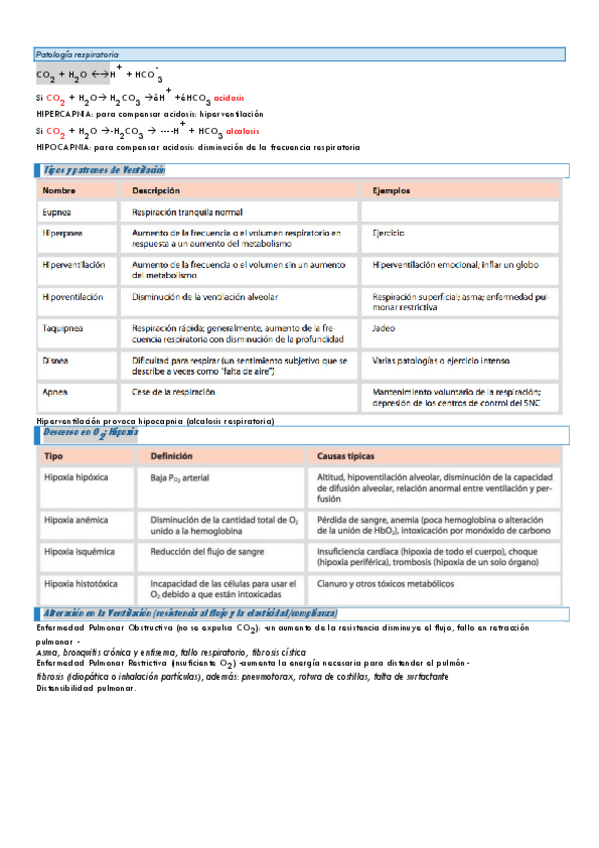 Miniatura del documento Respiratorio.pdf