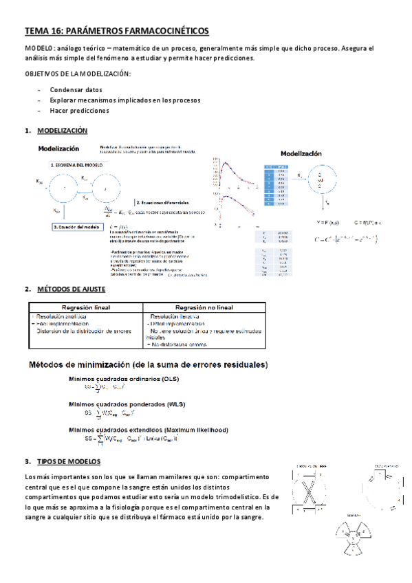 Miniatura del documento TEMA-16.pdf