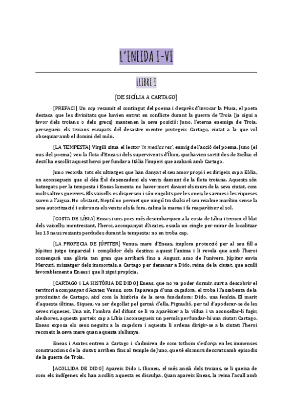 Miniatura del documento ENEIDA-RESUMS-X-LLIBRES.pdf