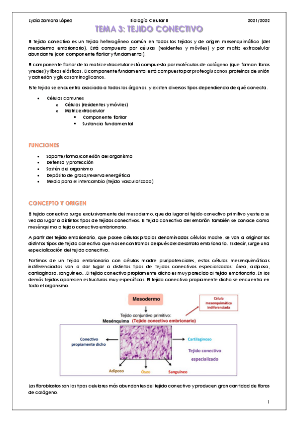 Miniatura del documento Tema-3-Tejido-conectivo.pdf