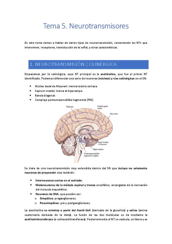 Miniatura del documento Tema-5.pdf