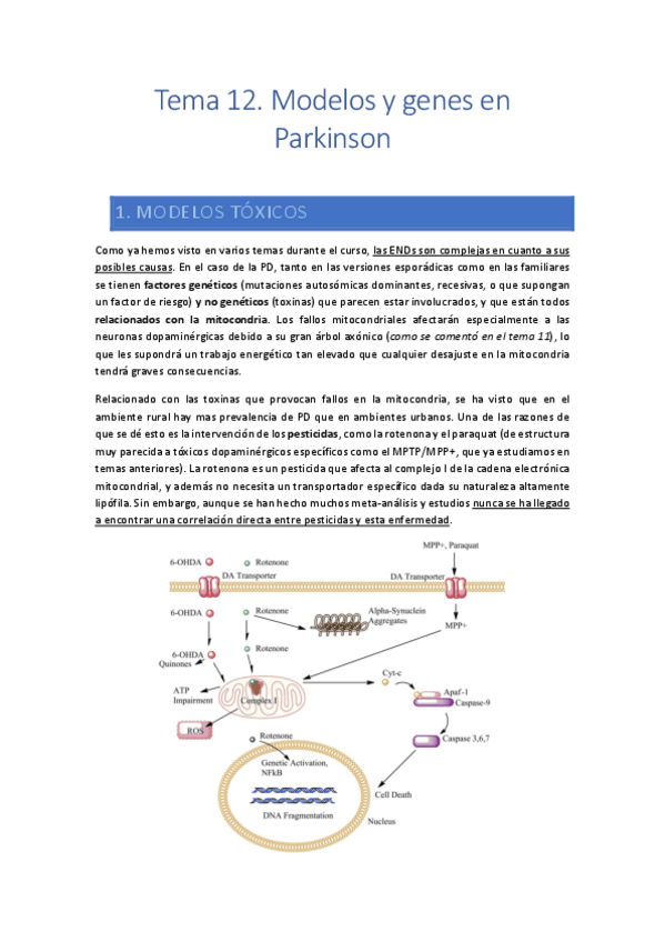 Miniatura del documento Tema-12.pdf