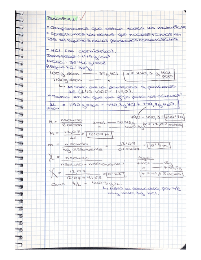 Miniatura del documento Practicas-quimica-cuaderno-de-laboratorio.pdf