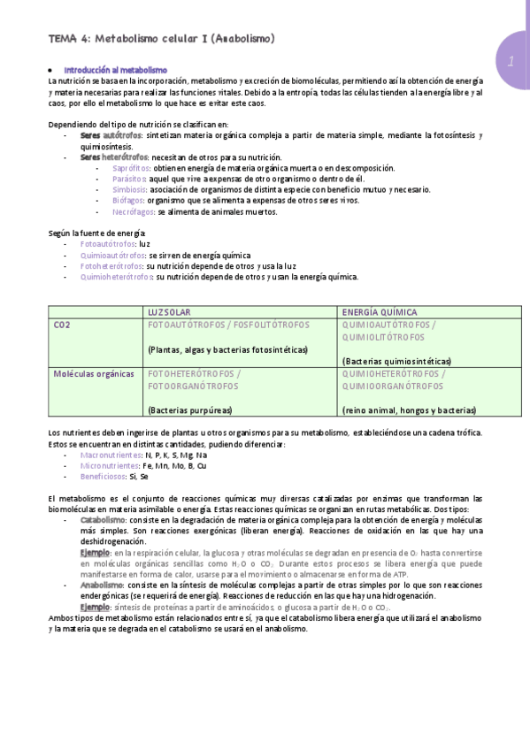 Miniatura del documento Anabolismo-.pdf