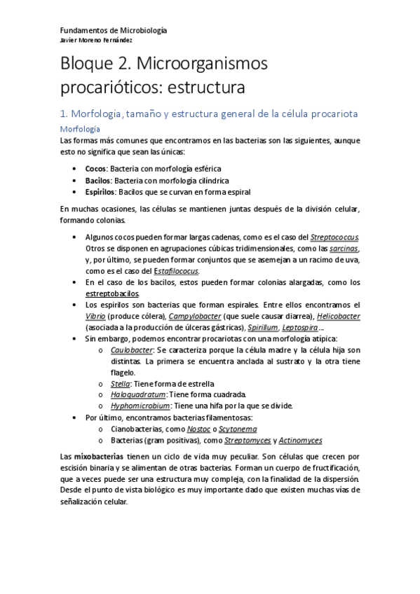 Miniatura del documento Bloque-2-Microbiologia.pdf