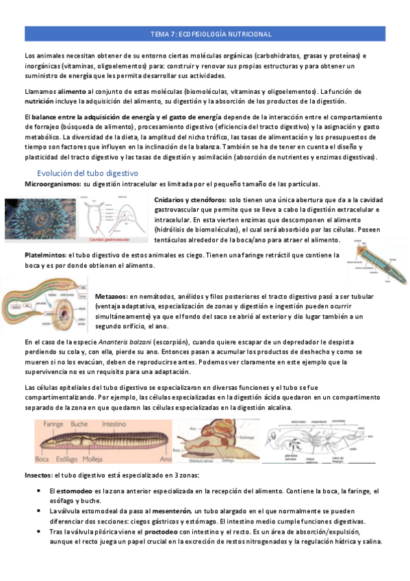 Miniatura del documento tema-7.pdf