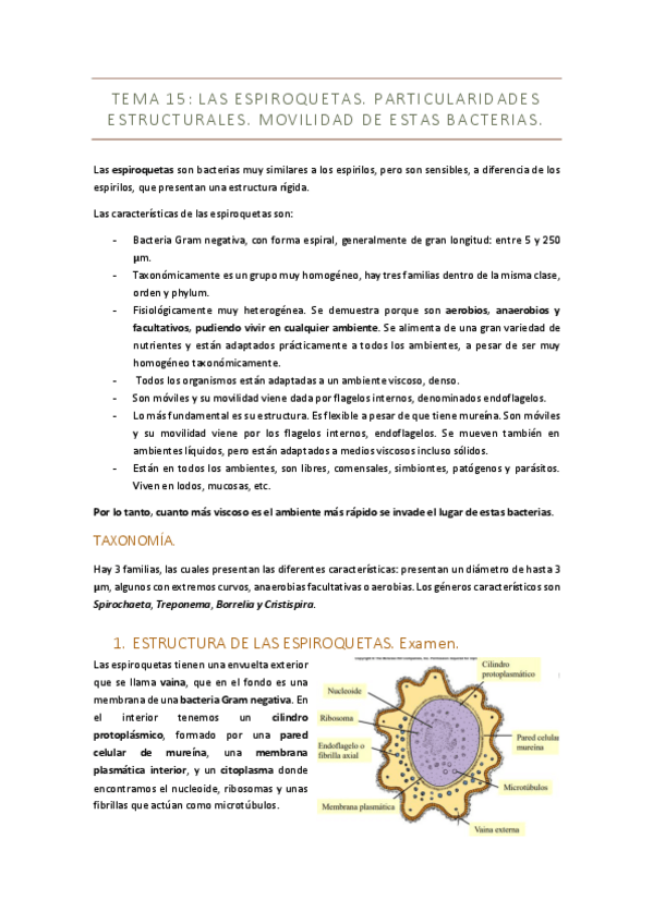 Miniatura del documento Tema-15-micro-II.pdf