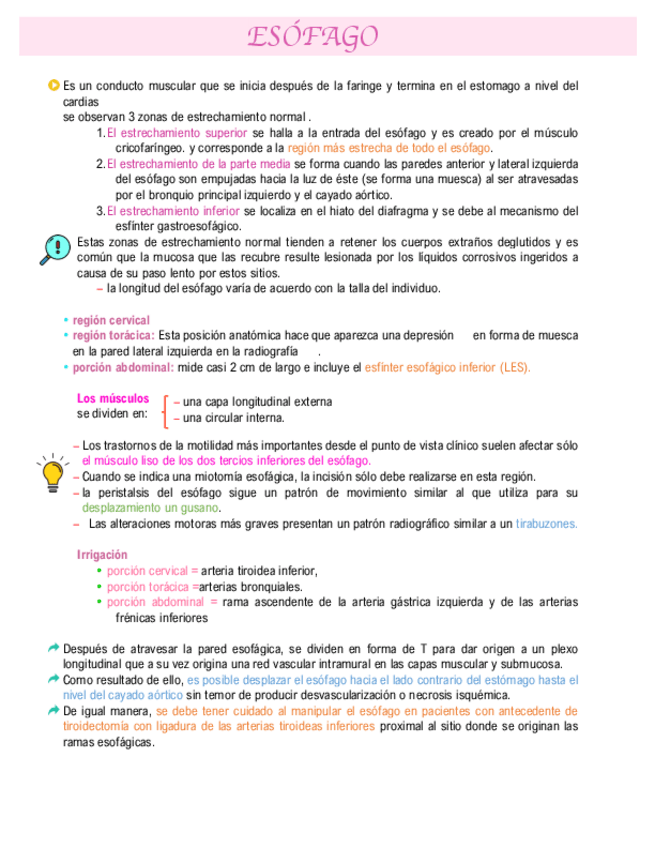 Miniatura del documento esofago-comp.pdf