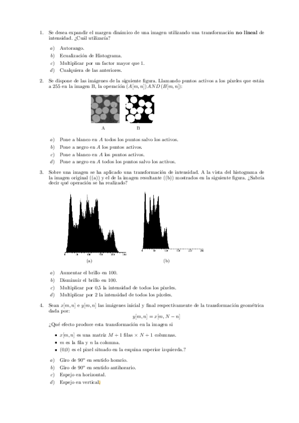 Miniatura del documento Examenejemplo.pdf