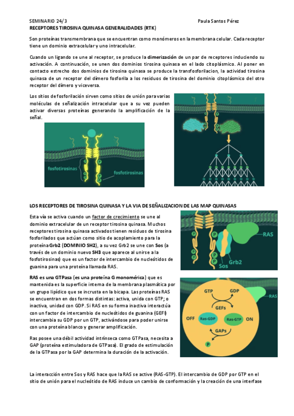Miniatura del documento RECEPTORES-TIROSINA-QUINASA-GENERALIDADES.pdf