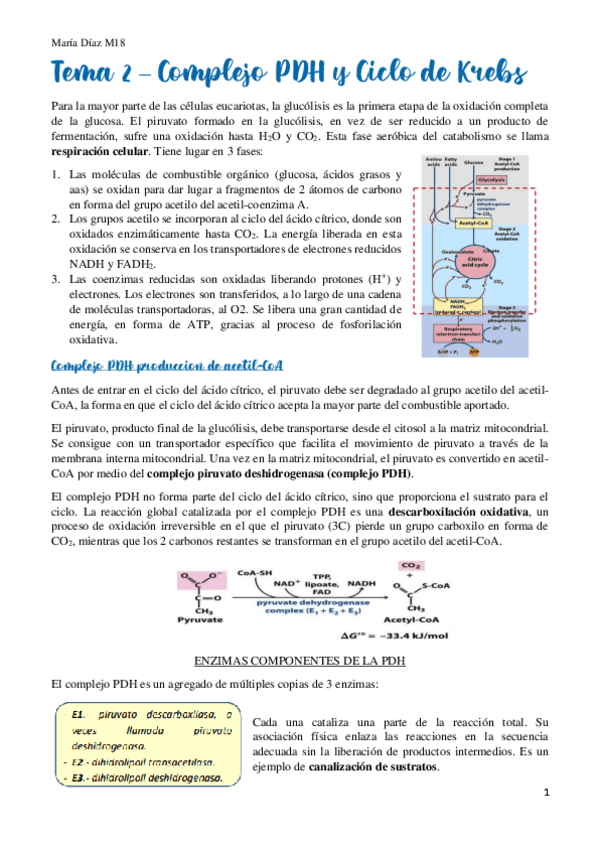 Miniatura del documento t2.pdf