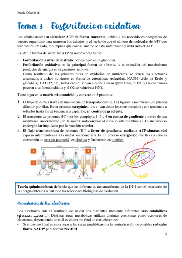 Miniatura del documento t3.pdf